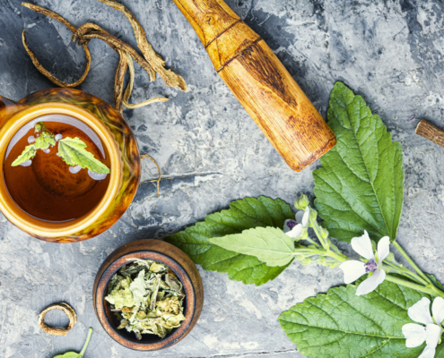 vlaamse-herboristen-vereniging